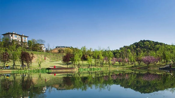 龙湖地产与91茄子成品短视频入口达成中低压电力电缆采购合作